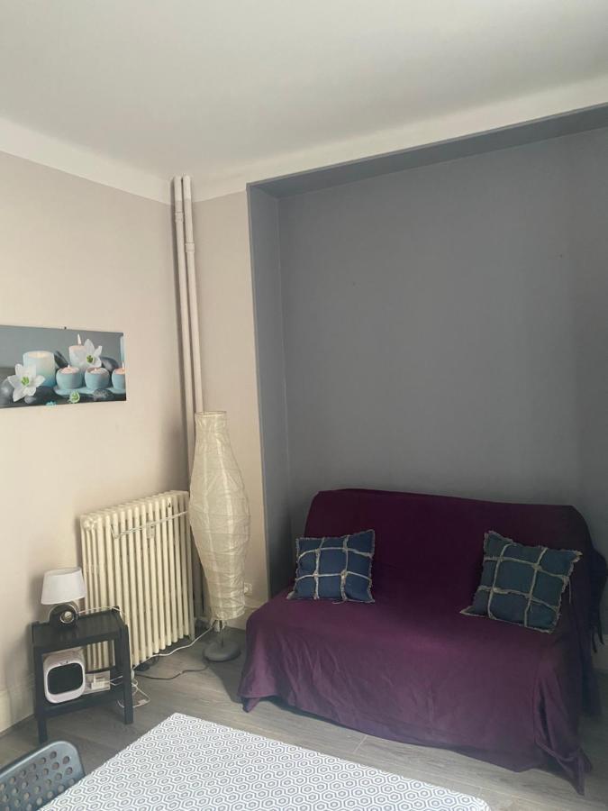 Studio Cosy Proche Parcs, Opera, Centre Ville 维琪 外观 照片